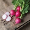 Pink Beauty -Garden Seed Shop 00626g 01 pinkbeauty