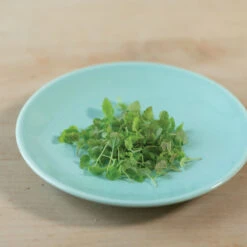 Lemon Balm -Garden Seed Shop 00766m 03 lemonbalmsilo