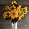Johnny's Sunflower Collection -Garden Seed Shop 00872 01 sunflwrcollection