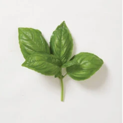 Genovese 12 Genovese -Garden Seed Shop 00911 05 genovese