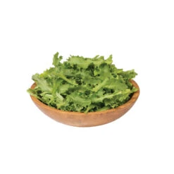 Clodia 7 Clodia -Garden Seed Shop 0111 03 clodia