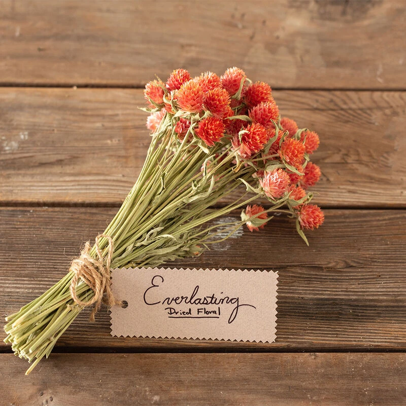 QIS™ Orange 4 QIS™ Orange - Image 2