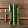 Tasty Jade 1 Tasty Jade -Garden Seed Shop 02323 01 tastyjade cucumber