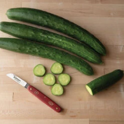 Tasty Jade -Garden Seed Shop 02323 02 tastyjade cucumber