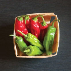 Mellow Star -Garden Seed Shop 02592 03 mellowstar