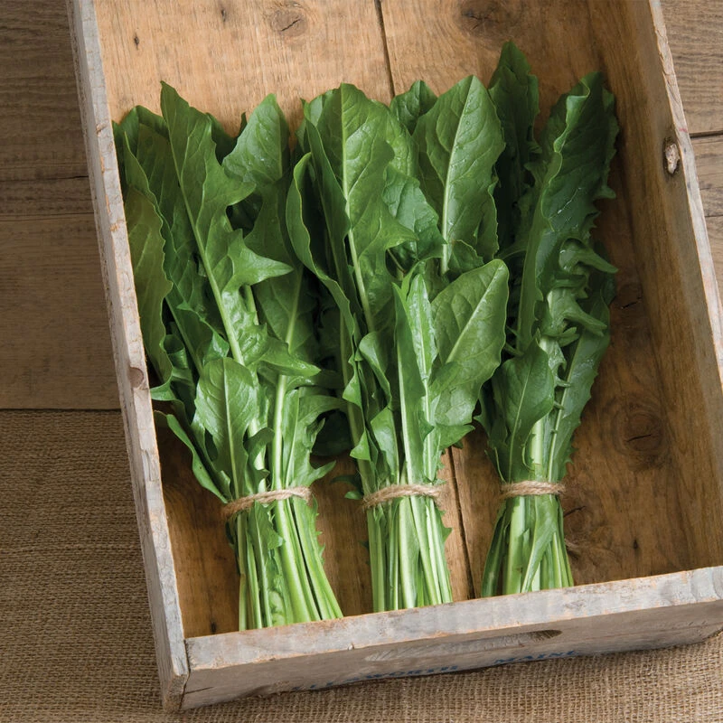 Clio 6 Clio - Image 4