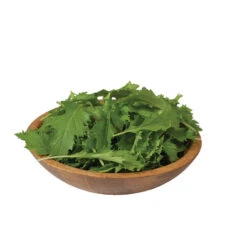 Mizuna -Garden Seed Shop 02883 02 mizuna