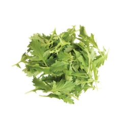 Mizuna -Garden Seed Shop 02883 03 mizuna