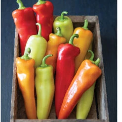 Hungarian Hot Wax -Garden Seed Shop 03092g 02 hungarianhotwax