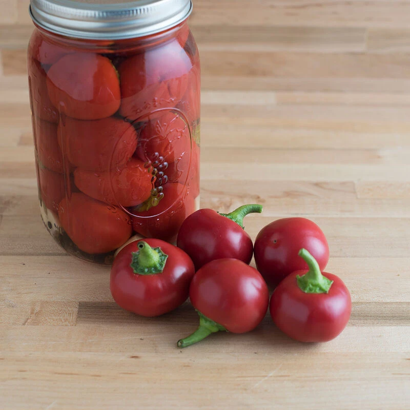 Capperino 4 Capperino - Image 2