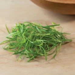 Fennel, Green -Garden Seed Shop 03152m 03 fennelgreensilo