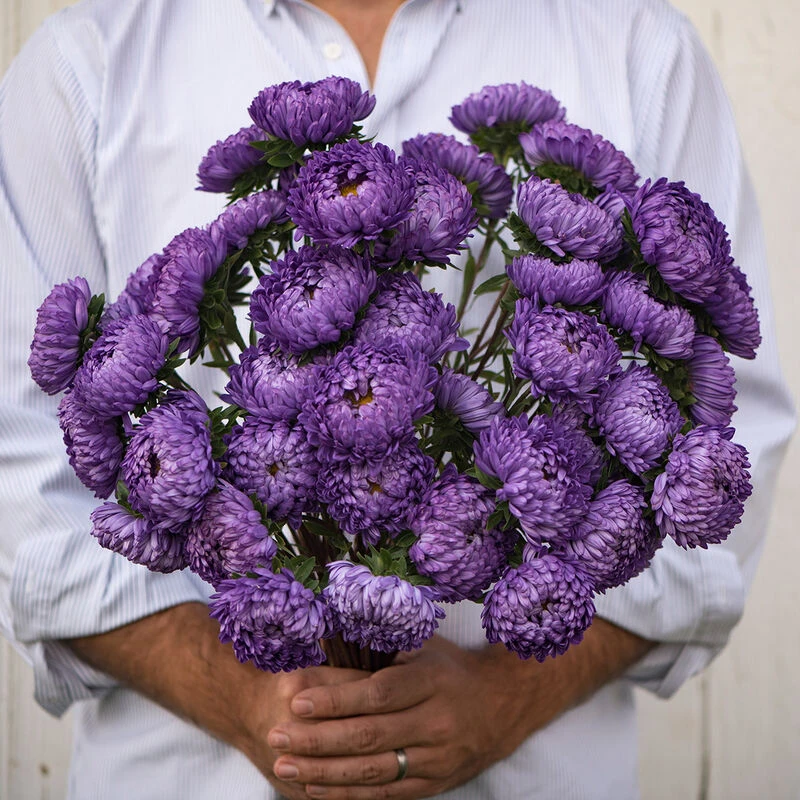 Tower Blue 4 Tower Blue - Image 2