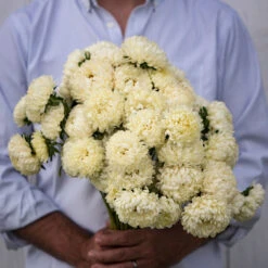 Tower Yellow -Garden Seed Shop 03324 02 tower yellow