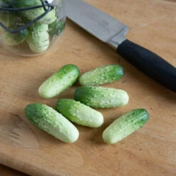 Quirk -Garden Seed Shop 03408 02 quirk