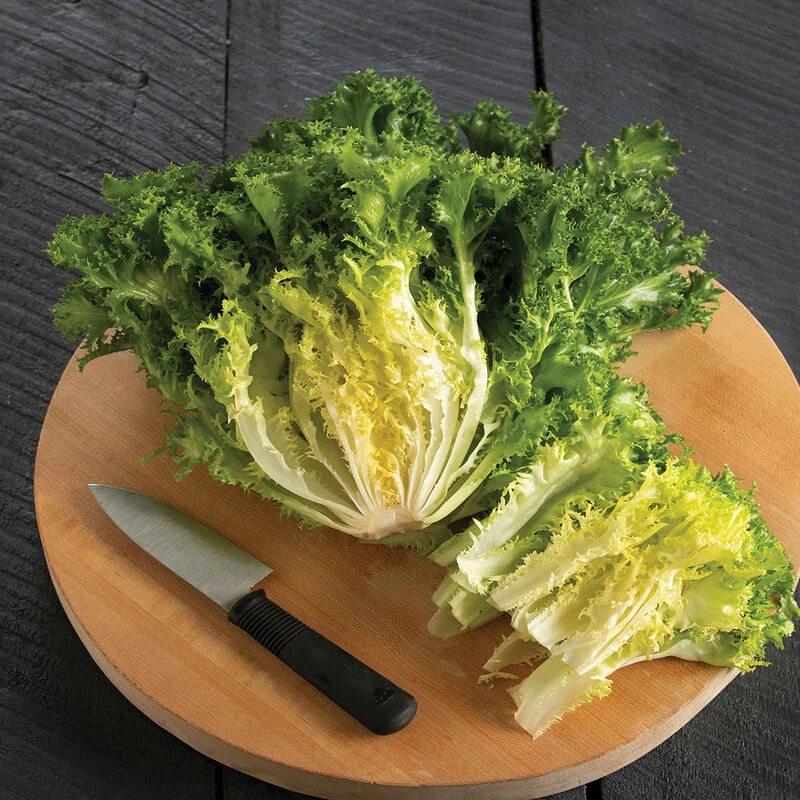 Curlesi 4 Curlesi - Image 2