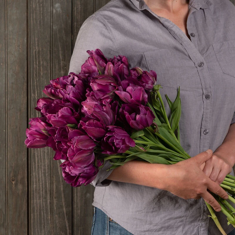 Negrita Double 4 Negrita Double - Image 2