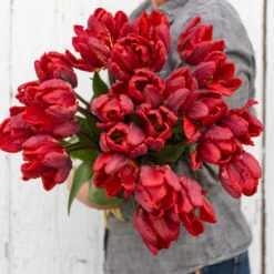 Rococo -Garden Seed Shop 03497 03 rococo