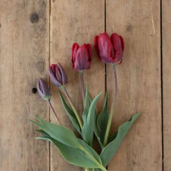 Rococo -Garden Seed Shop 03497 04 rococo