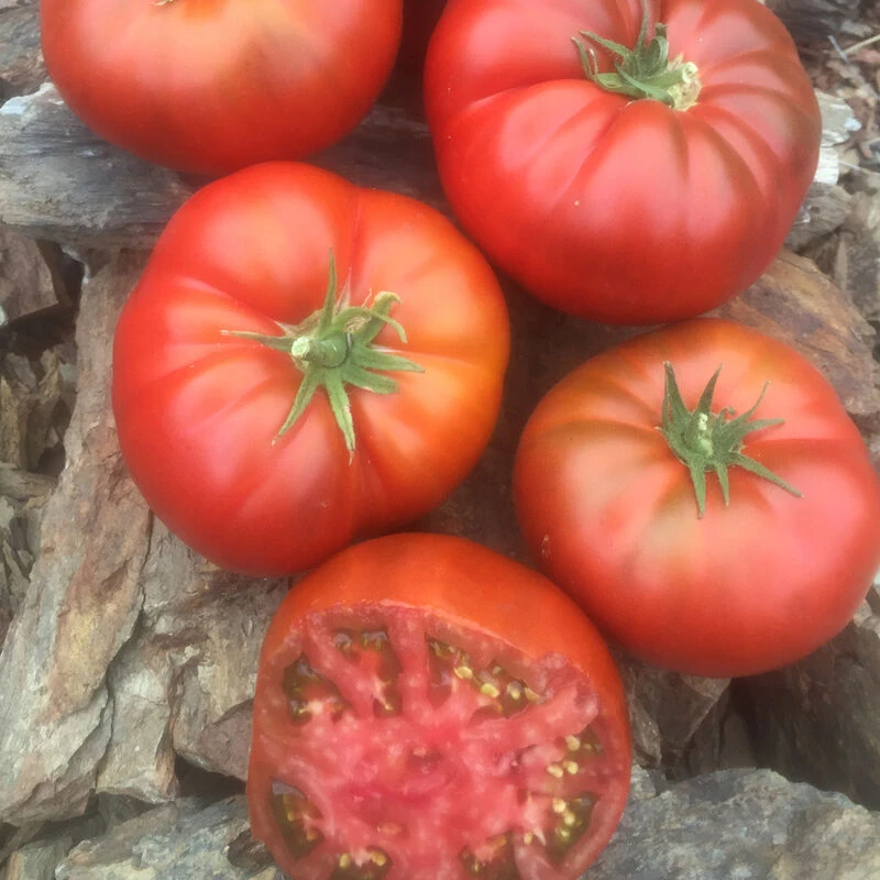 Tasmanian Chocolate 3 Tasmanian Chocolate