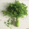 Fine Curled -Garden Seed Shop 03646g 01 chervil