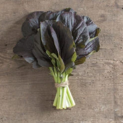 Red Kingdom -Garden Seed Shop 03748 02 redkingdom