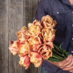 La Belle Epoque -Garden Seed Shop 04057 04 labelleepoque