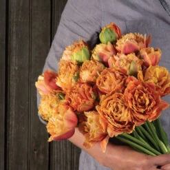 Sensual Touch -Garden Seed Shop 04058 04 sensual touch