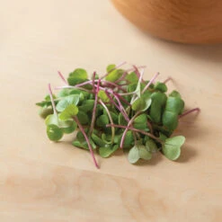 Radish, Purple Stem -Garden Seed Shop 04107mg 03 purpleradish