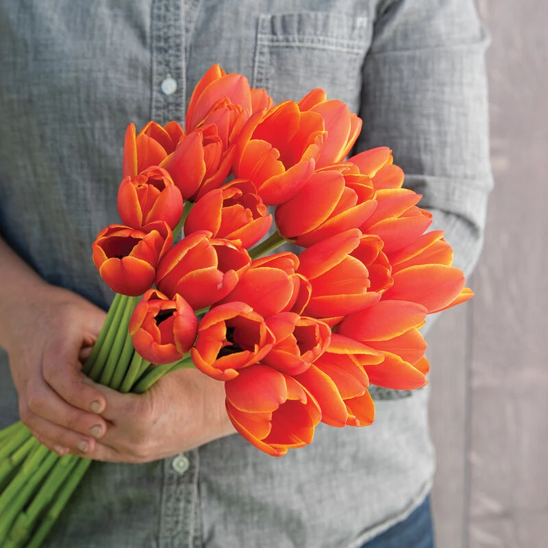 World's Favorite 4 World's Favorite - Image 2