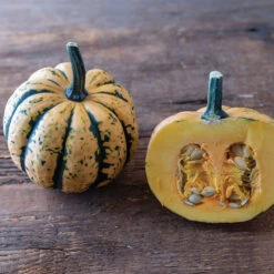 Honey Bun -Garden Seed Shop 04303 02 honey bun acorn squash