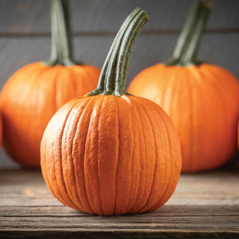 Jack Of Hearts 3 Jack Of Hearts