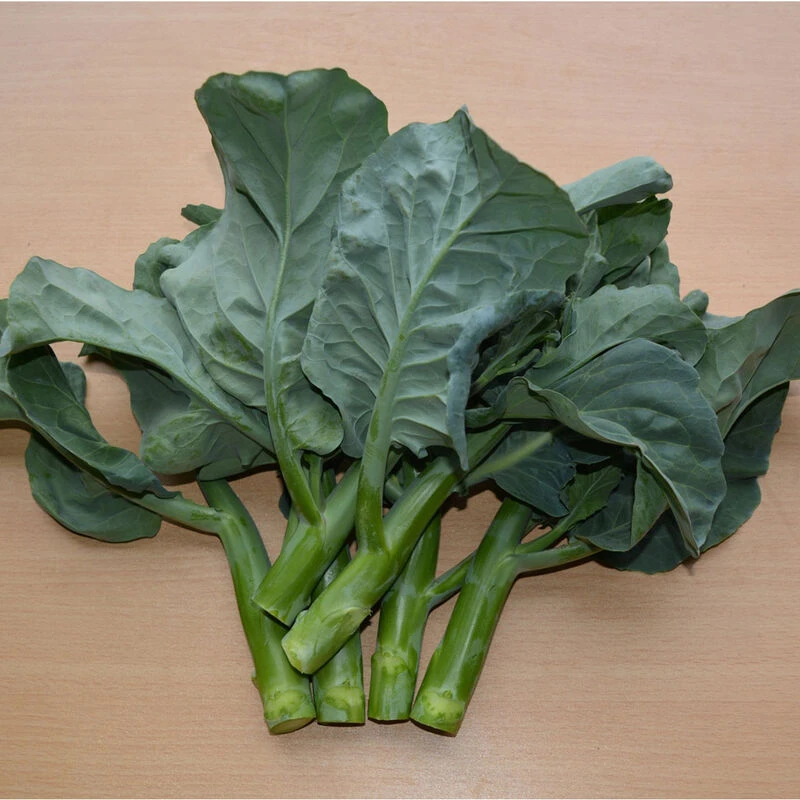 Noble Jade 3 Noble Jade