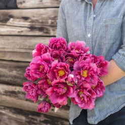 Margarita -Garden Seed Shop 04556 01 margarita