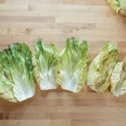 Giorgione -Garden Seed Shop 04582 03 giorgione