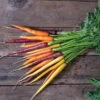 Glow Stix Moonrise Mix -Garden Seed Shop 04941 01 glow stix moonrise colored carrots