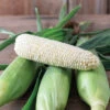 Eden RMN -Garden Seed Shop 05090 01 eden sweet corn