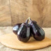 E-Tender -Garden Seed Shop 05156 01 e tender eggplant