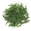 Nemesis -Garden Seed Shop 05543 01 nemesis babyleaf arugula