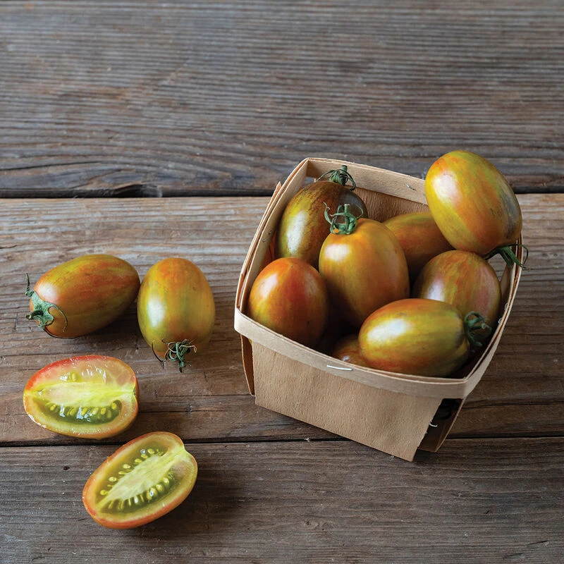 Magic Bullet 3 Magic Bullet