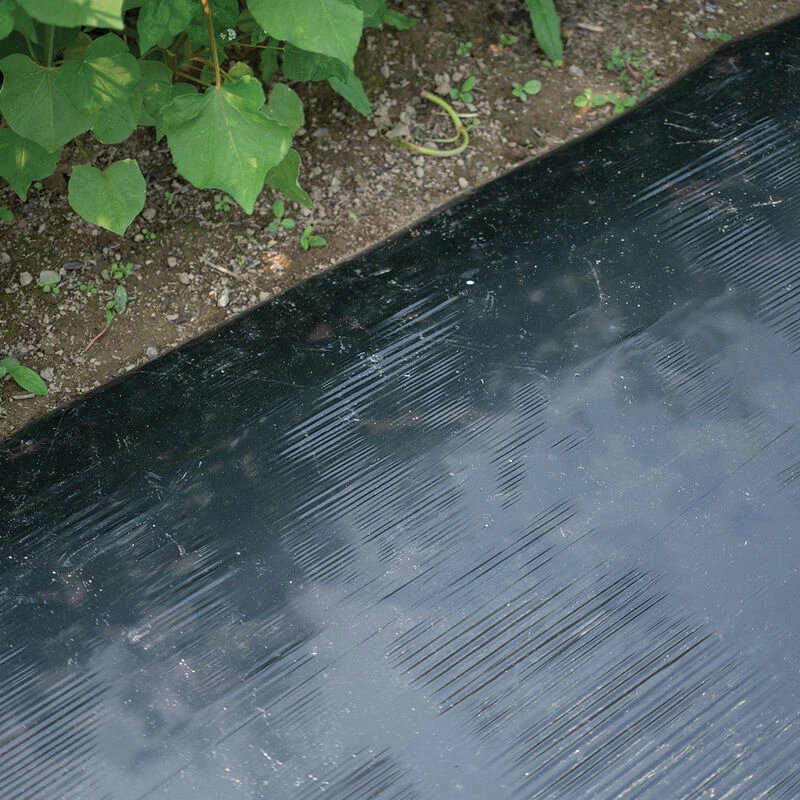 Solar Shrink – 48" X 1,000' 3 Solar Shrink – 48" X 1,000'