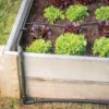 Raised Bed Drip Kit -Garden Seed Shop 06789 01 raisedbed dripkit