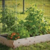 Cedar Raised Garden Bed – 3' X 6' -Garden Seed Shop 06798 01 cedarraisedbed
