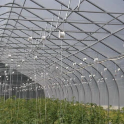 Rollerhook® – 25 Count -Garden Seed Shop 07047 02 rollerhookgreenhouse