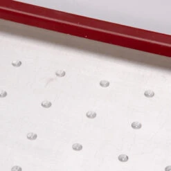 Seed Plate F36 -Garden Seed Shop 07132 01 seeder plate f36