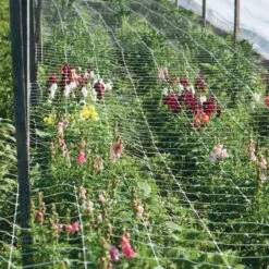 Hortonova FA – 36" X 3,280'