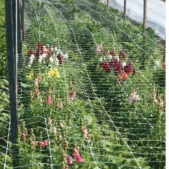 Hortonova FA – 42" X 328'