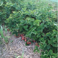 Ornex Bird Netting – 13' X 820'