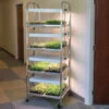 Compact Seedling Light Cart – 8 Trays, 160 Watts -Garden Seed Shop 07299 01 compactseedlinglightcart