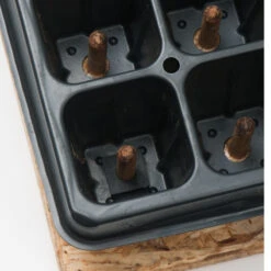 50 Cell Plug Popper -Garden Seed Shop 07342 03 plugpopper50