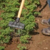 Tine Weeding Rake – 6" -Garden Seed Shop 07410 01 tineweedingrake6inwide